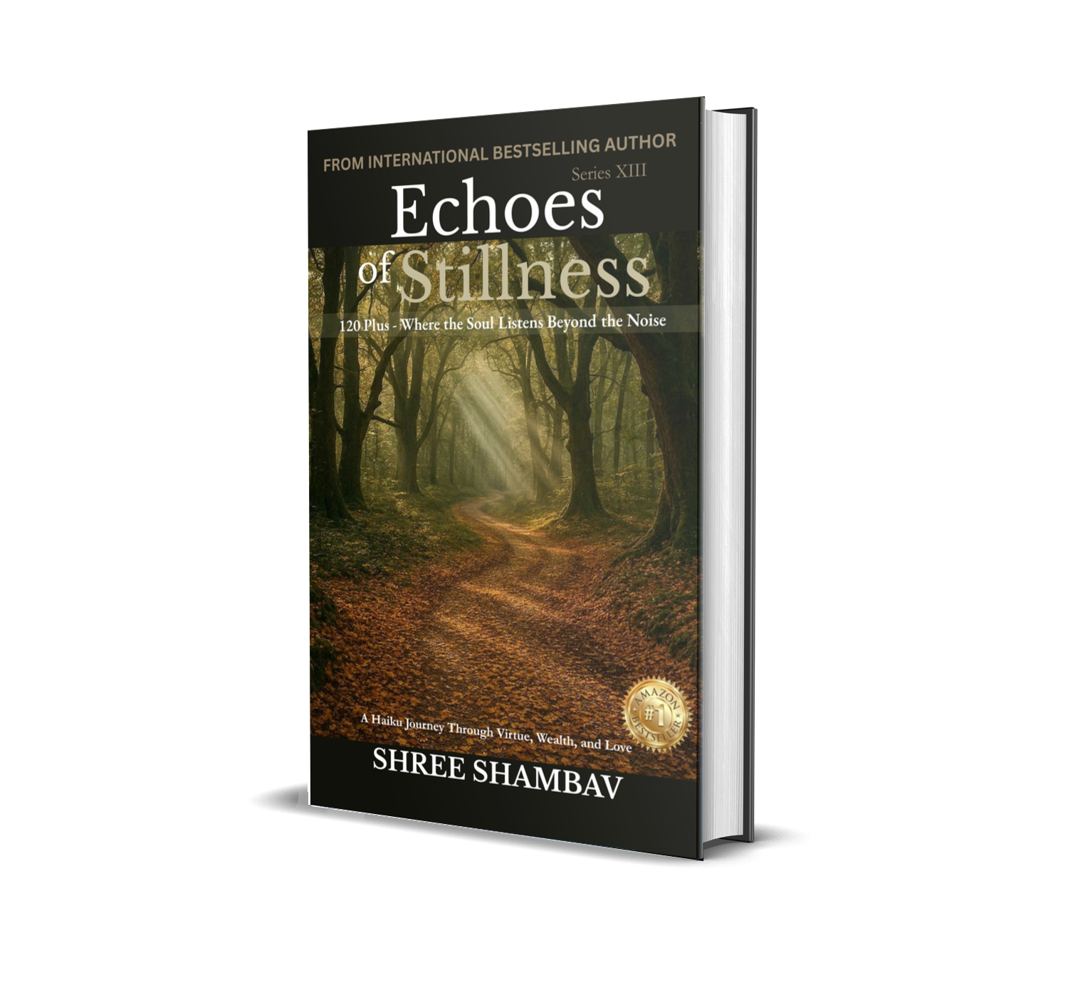 Echoes of Stillness Series XIII Book Cover