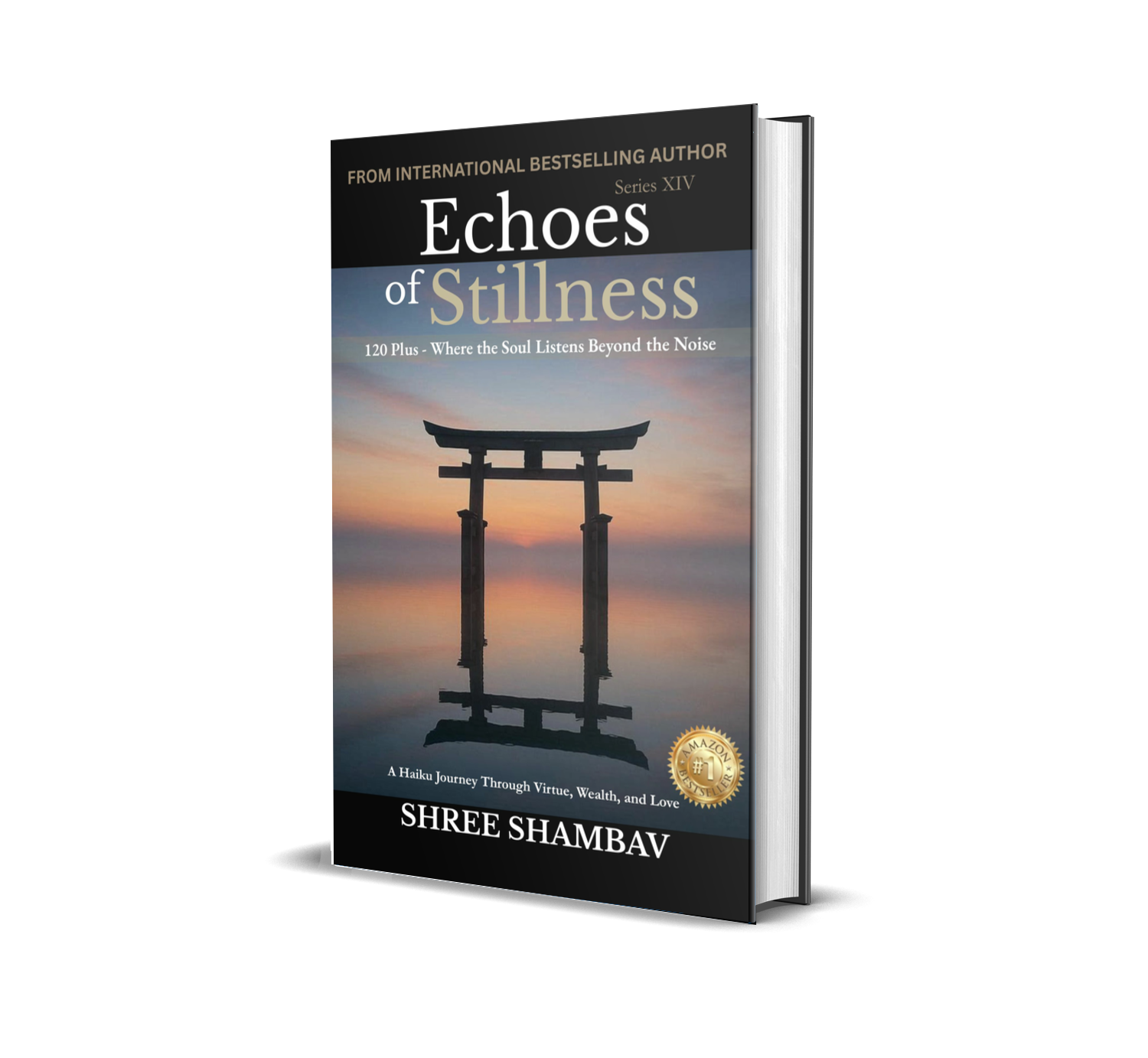 Echoes of Stillness Series XIV Book Cover
