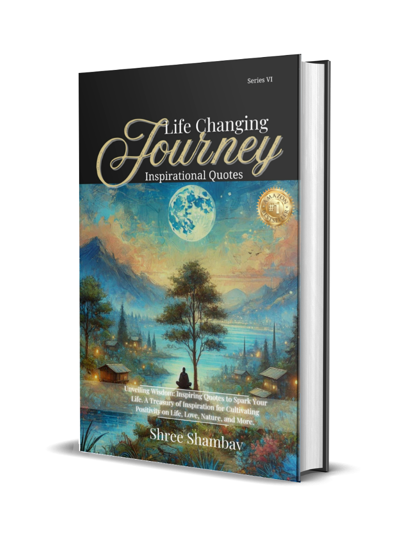 Cover of Life Changing Journey Series VI