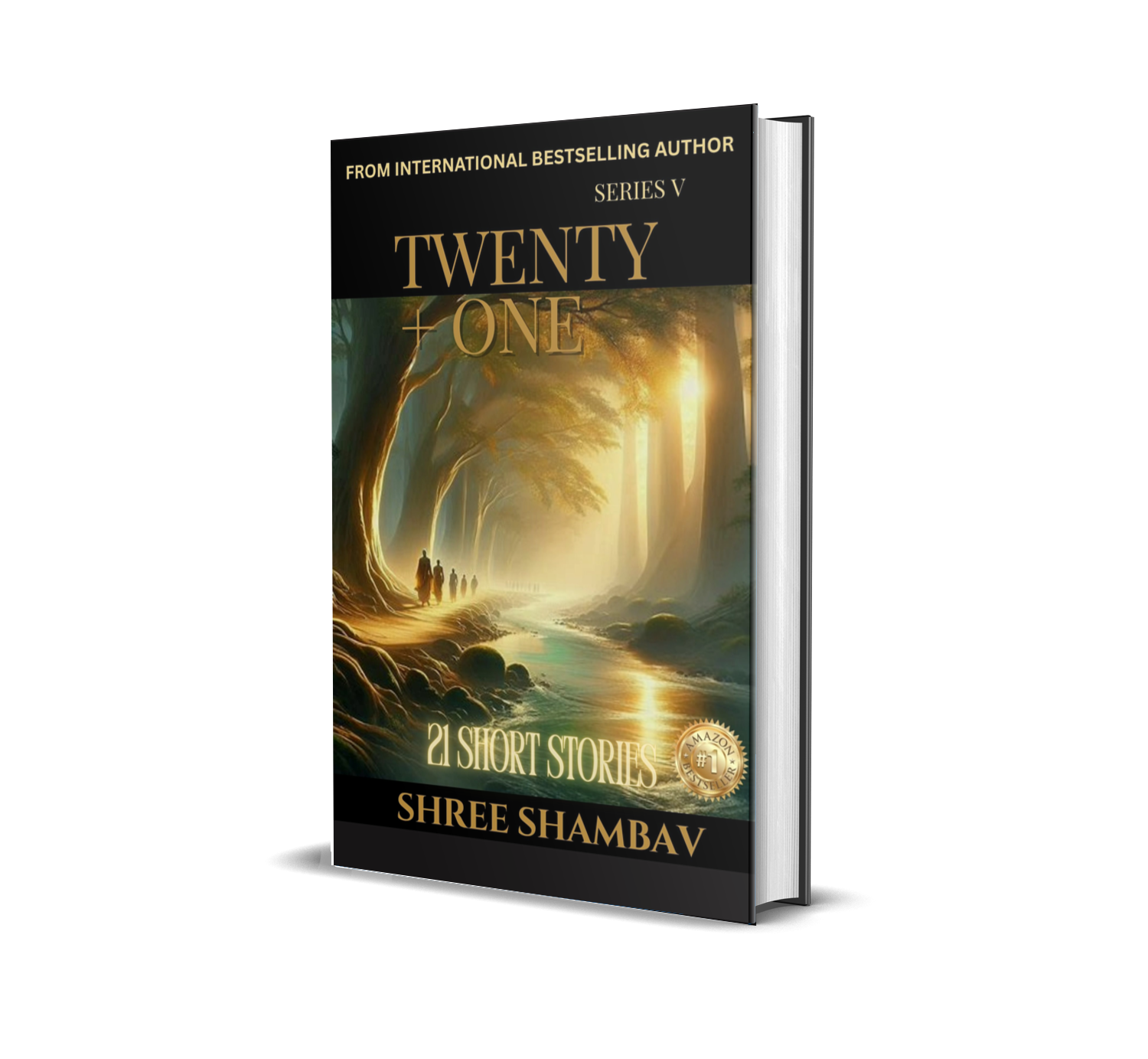 Book cover of Twenty + One - Series V