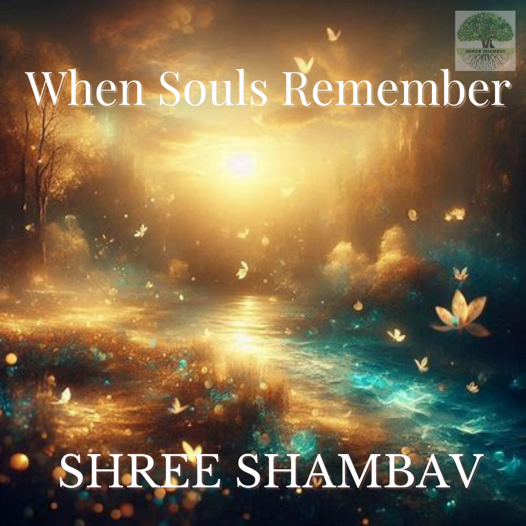 Cover of When Souls Remember